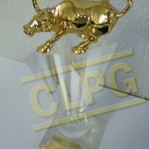 Golden Bull Award 2007